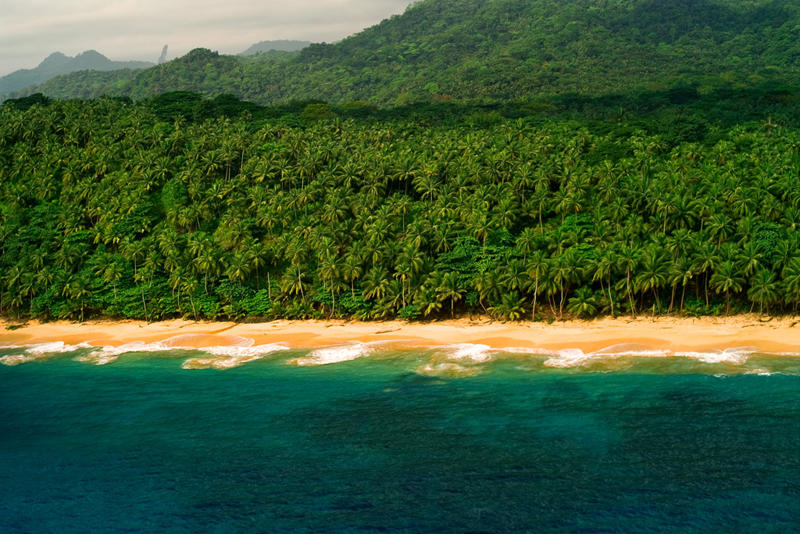 STP Falcon Gp. Picture 119