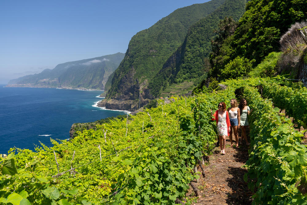 Vinhas Seixal -Amigos0001©Ricardo Faria Paulino