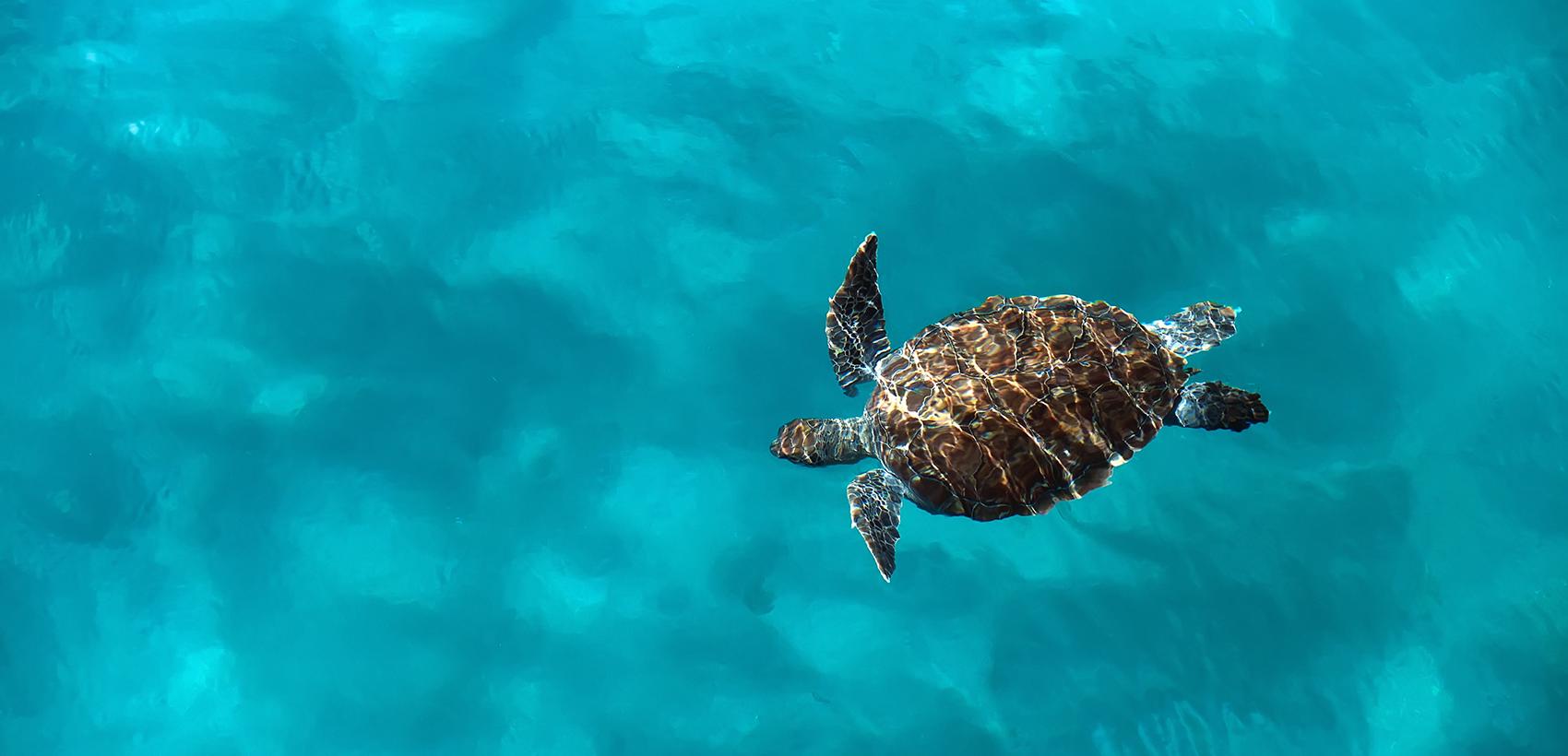 Barbados1